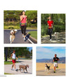 Guia de Corrida para Cães